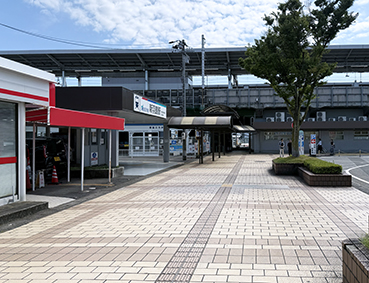 �V���� �򕌉H���w