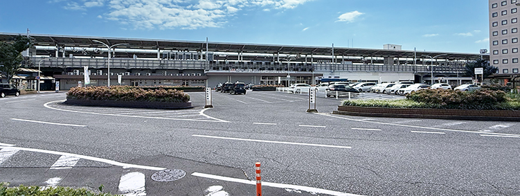 �V���� �򕌉H���w