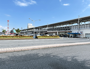 �V���� �򕌉H���w