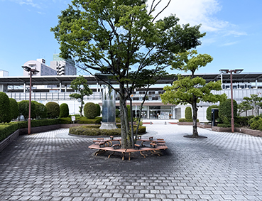 �V���� �򕌉H���w