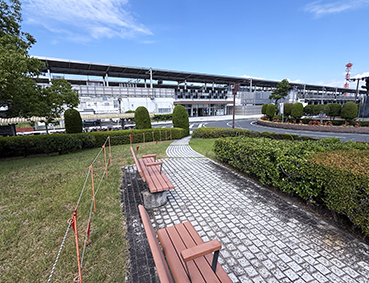 �V���� �򕌉H���w