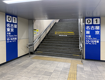 �V���� �򕌉H���w