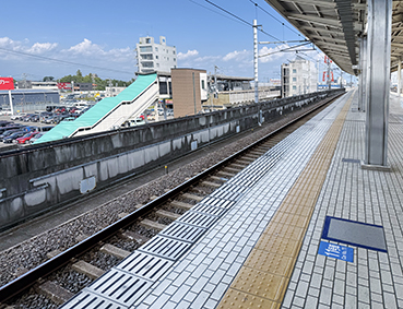 �V���� �򕌉H���w