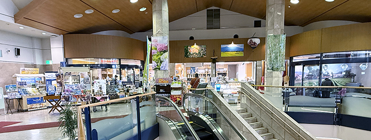 北陸新幹線 佐久平駅