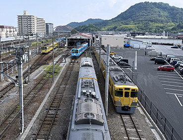 ���C���� �F���w