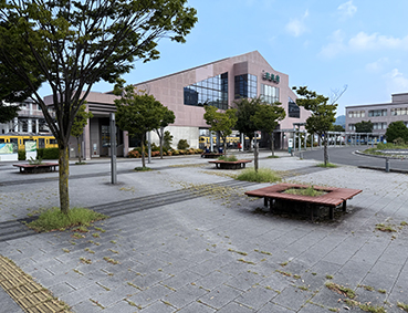 ���C���� �F���w