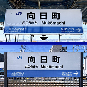 ���C���� �������w