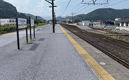 ���C���� �ߍ]�����w