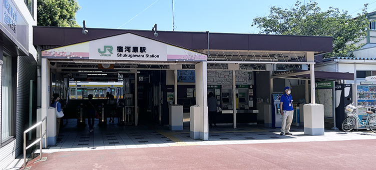 �앐�� �h�͌��w