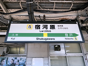 �앐�� �h�͌��w