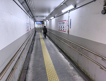 ���m�R�� �k�ɒO�w