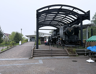 ���C�� �����w