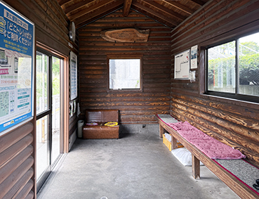 ���C�� �����w