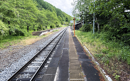 ���C�� �����w