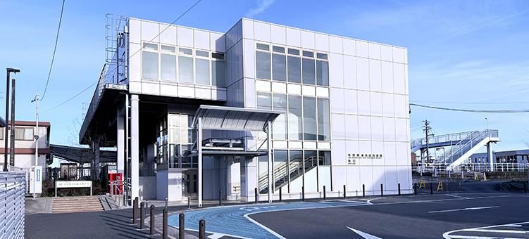 ������ ���w