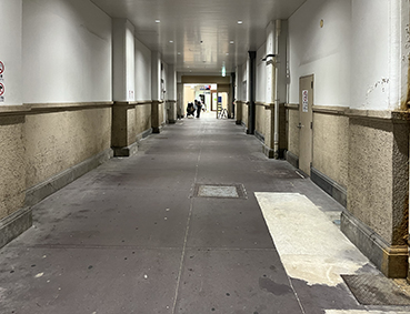 �R�z�� ���ɉw