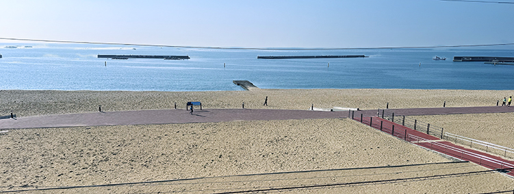 �R�z�� �{���w