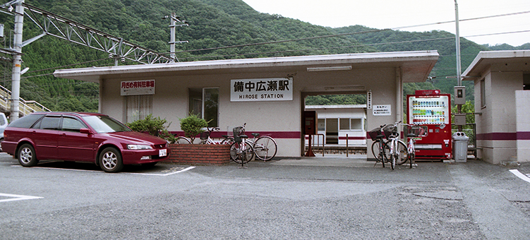 �����L���w