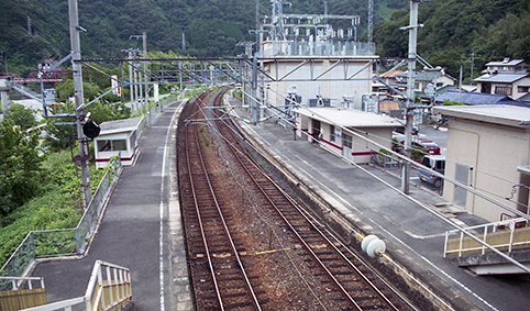 �����L���w