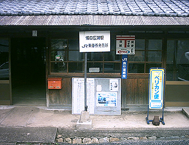 �����L���w