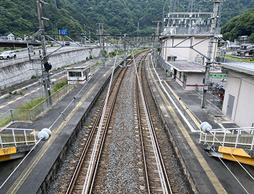 ������ �����L���w