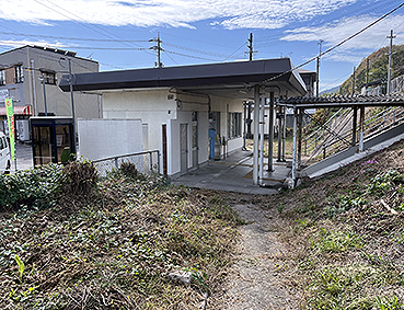 ���� ���w