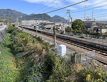 ���� ���w