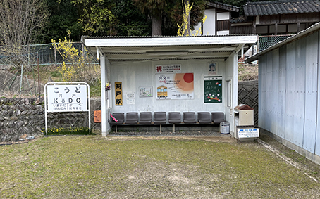 ���� �����T�R�w