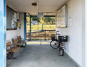 �R�A�� �R�Ɖw