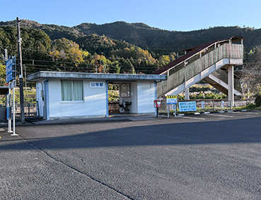 �R�A�� �R�Ɖw