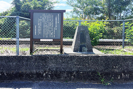 ���� �n��蒬�w