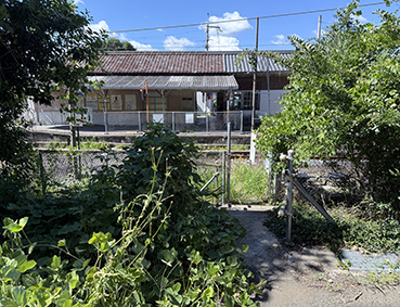 �a�̎R�� �D�ˉw