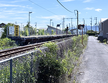 �a�̎R�� �����w