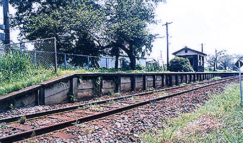 �����O�w