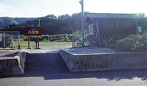 �ɐ������w