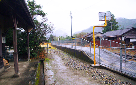 ������ �ɐ��|���w