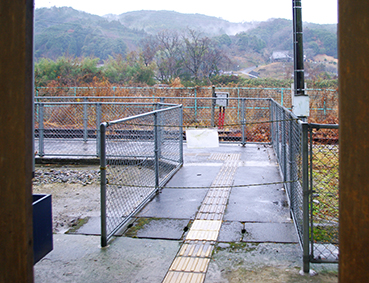 ������ �ɐ��|���w