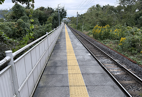 ��R�� �����w