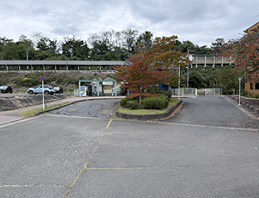 ��R�� �����w