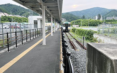 �Ί��� ����w