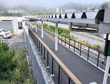 �Ί��� ����w