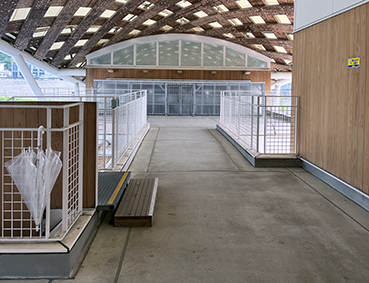 �Ί��� ����w