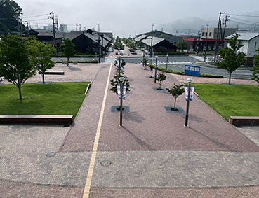 �Ί��� ����w