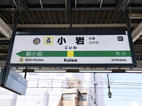 ������ ����w