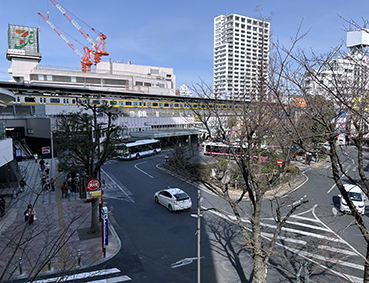 ������ ����w