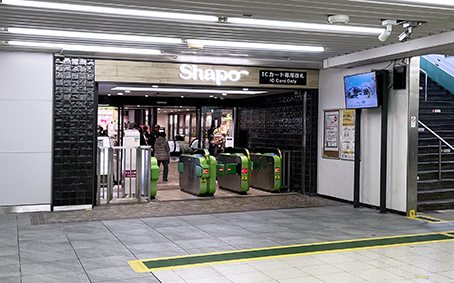 ������ ����w