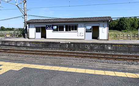 ������ �����w