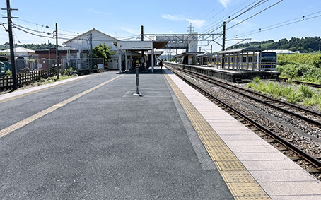 ������ �����w