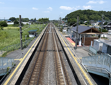 ���c���䑷�q�x�� ��������w