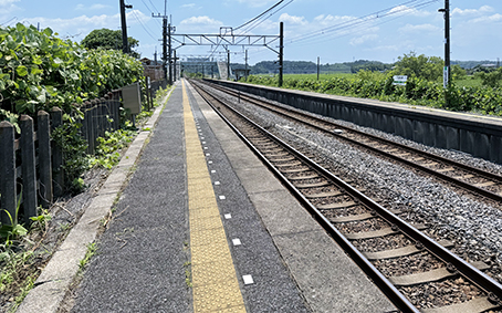 ���c���䑷�q�x�� ��������w